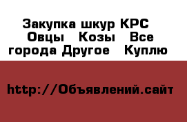 Закупка шкур КРС , Овцы , Козы - Все города Другое » Куплю   